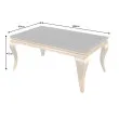 Konferenčný stôl 42315 100x60cm Modern Barock